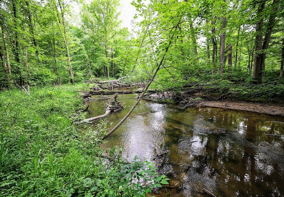 1st image of Black River Rd