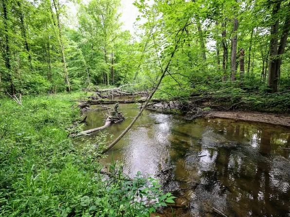 Black River Rd, Bangor, MI 49013
