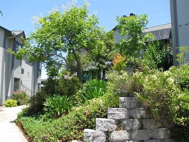 Sutter Hills Apartments — Photo 3
