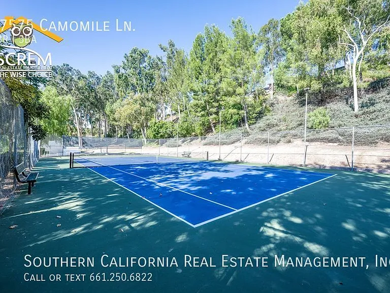 27575 Camomile Ln — Photo 29