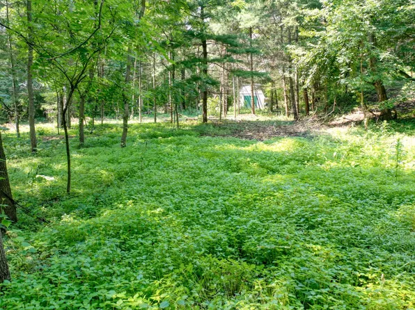 219th St N, Forest Lake, MN 55025