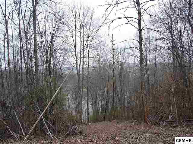1st image of 14 Lakeview Ln