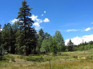 1552 Kiowa Rd, Florissant, CO 80816