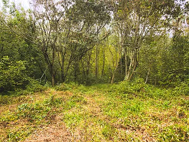 Property photo 38