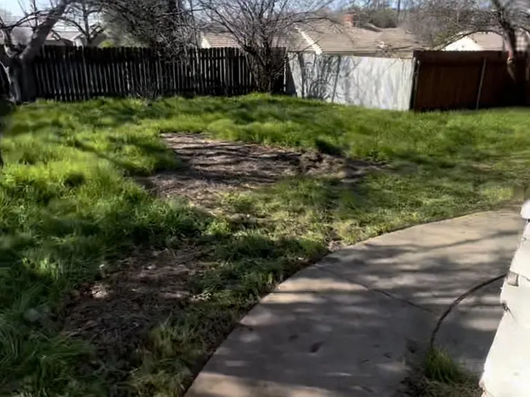 large back yard fenced