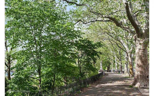 Rented by Douglas Elliman | media 24