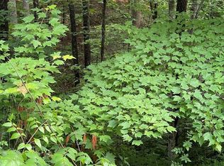 1111 Rose Pass LOT 1111, Sevierville, TN 37876