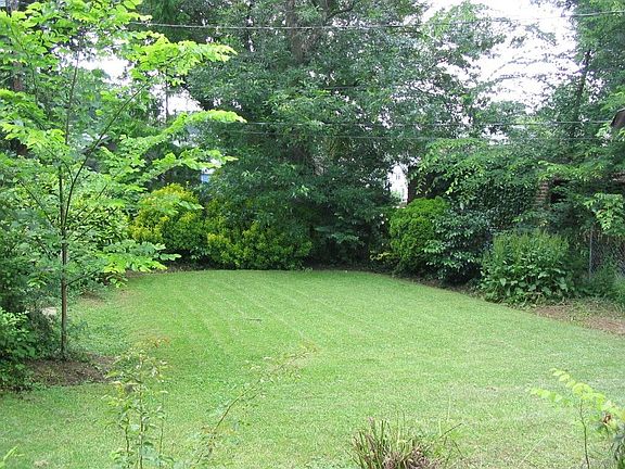 Back yard
