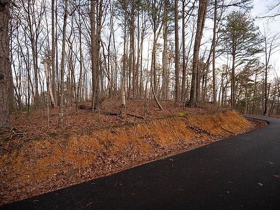 4th image of 3 Penny Way Lot 3