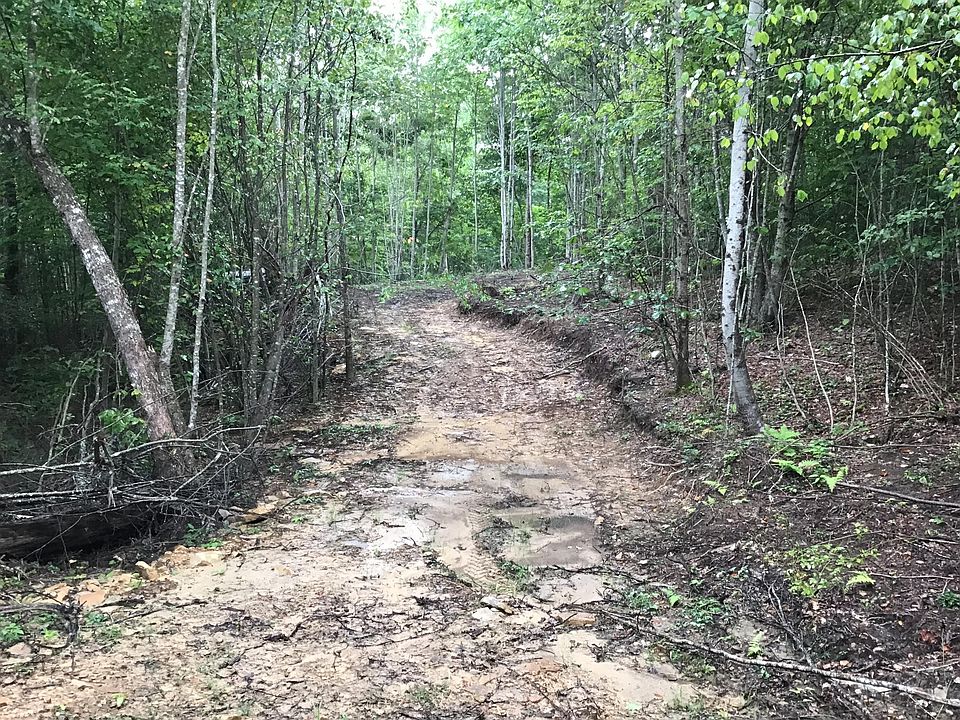 1st image of Bobcat Dr