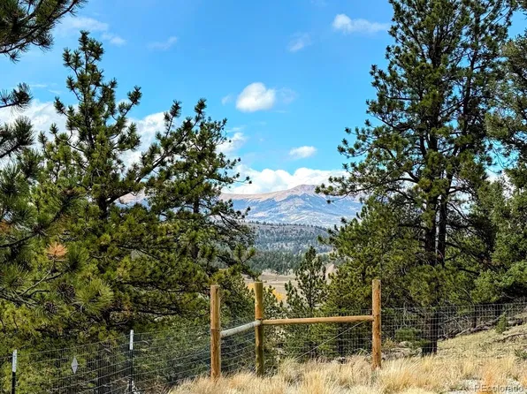 3330 Singletree Road, Hartsel, CO 80449