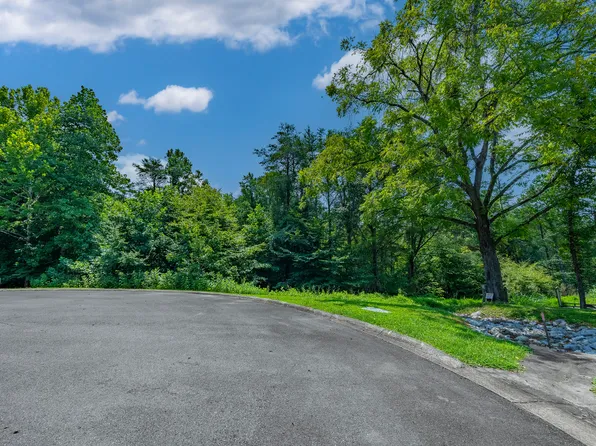 LOT 17 Cove Springs Dr, Dandridge, TN 37725