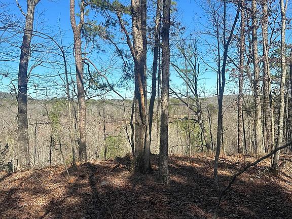 4th image of 0-00M Walnut Valley Rd