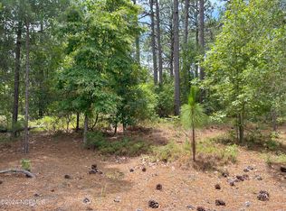 1-1B Sandy Branch Ln LOT 1B, Aberdeen, NC 28315