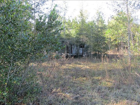 5th image of 5902 SW County Road 242
