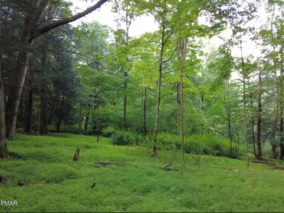Swamp Rd, Hunlock Creek, PA, 18621