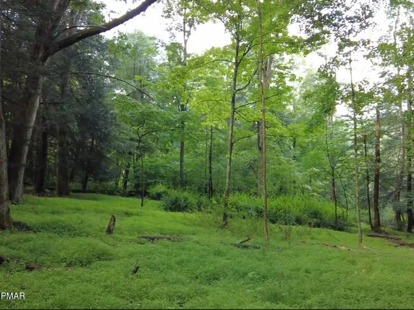 Swamp Rd, Hunlock Creek, PA 18621