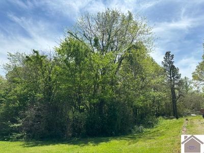 10 Black Knight Ct, Calvert City, KY, 42029