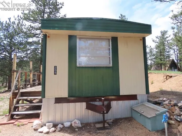 255 Forest Glen Trl, Florissant, CO 80816