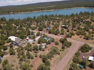 5384 Show Low Lake Rd, Lakeside, AZ 85929