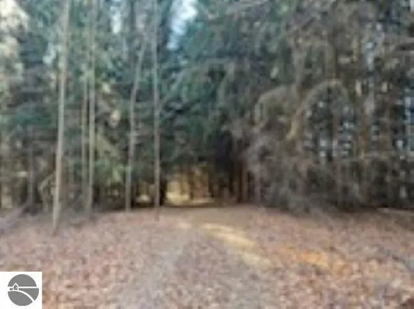 0 Runway Rd, Frankfort, MI 49635