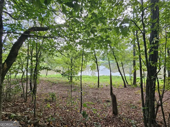 0 Goshen Church Rd Tract 4-5, Franklin, GA 30217