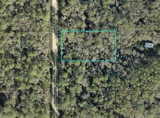 10690 Hennessey Ave, Hastings, FL 32145