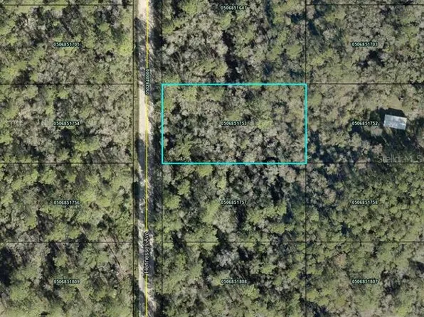 10690 Hennessey Ave, Hastings, FL 32145