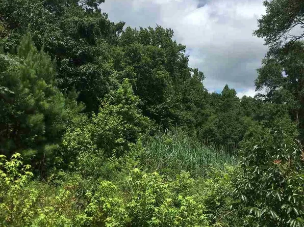 Mulberry St, Vaiden, MS 39176