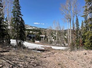 1015 E Autumn Dr, Brian Head, UT 84719