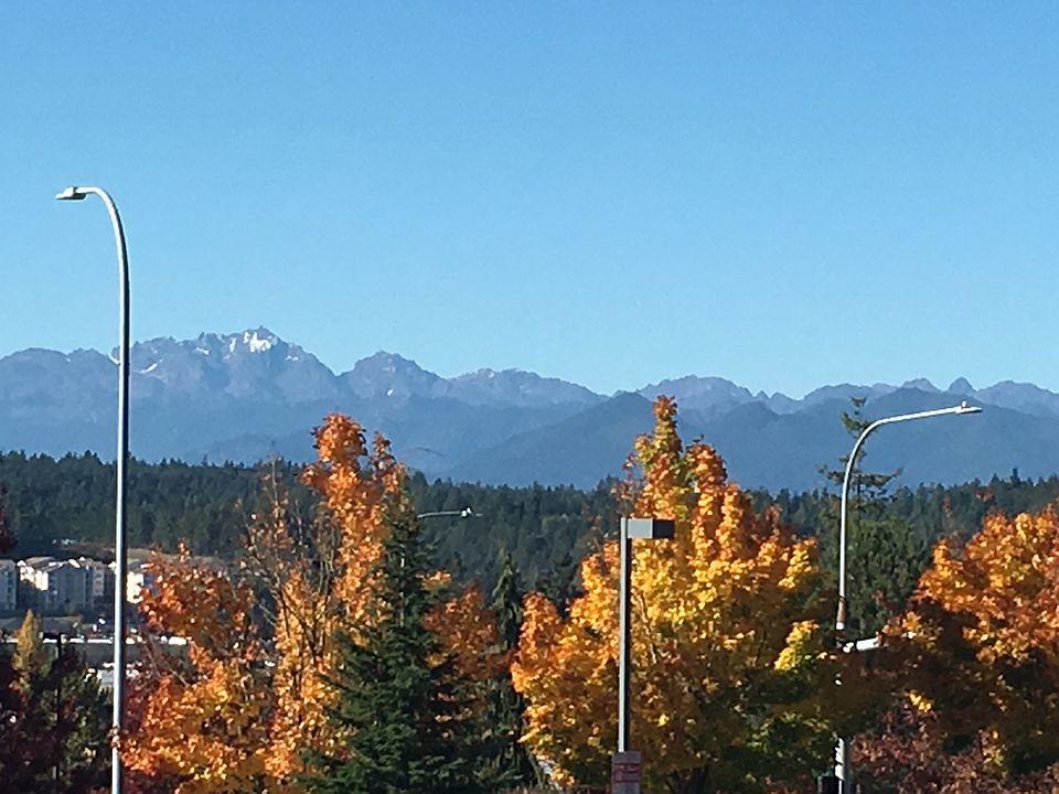 View from Unit