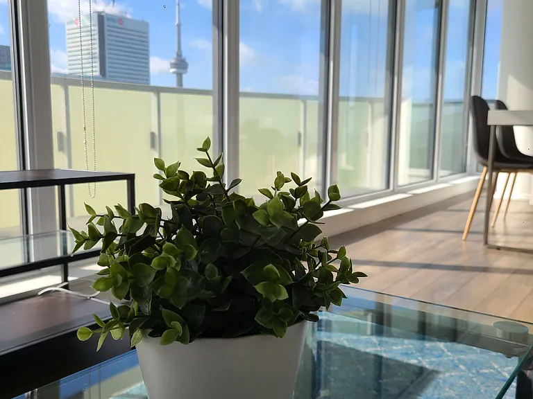 197 Yonge St #5709 — Photo 5