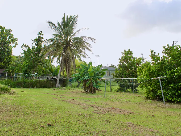 393 VI Corp Lands Pr — Photo 24