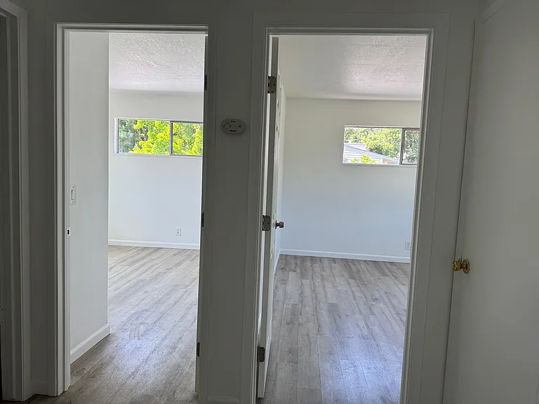 927 Delport Ave #4 — Photo 3