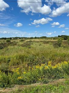 Inverness Rd, Cheboygan, MI, 49721