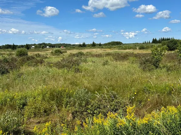 Inverness Rd, Cheboygan, MI 49721