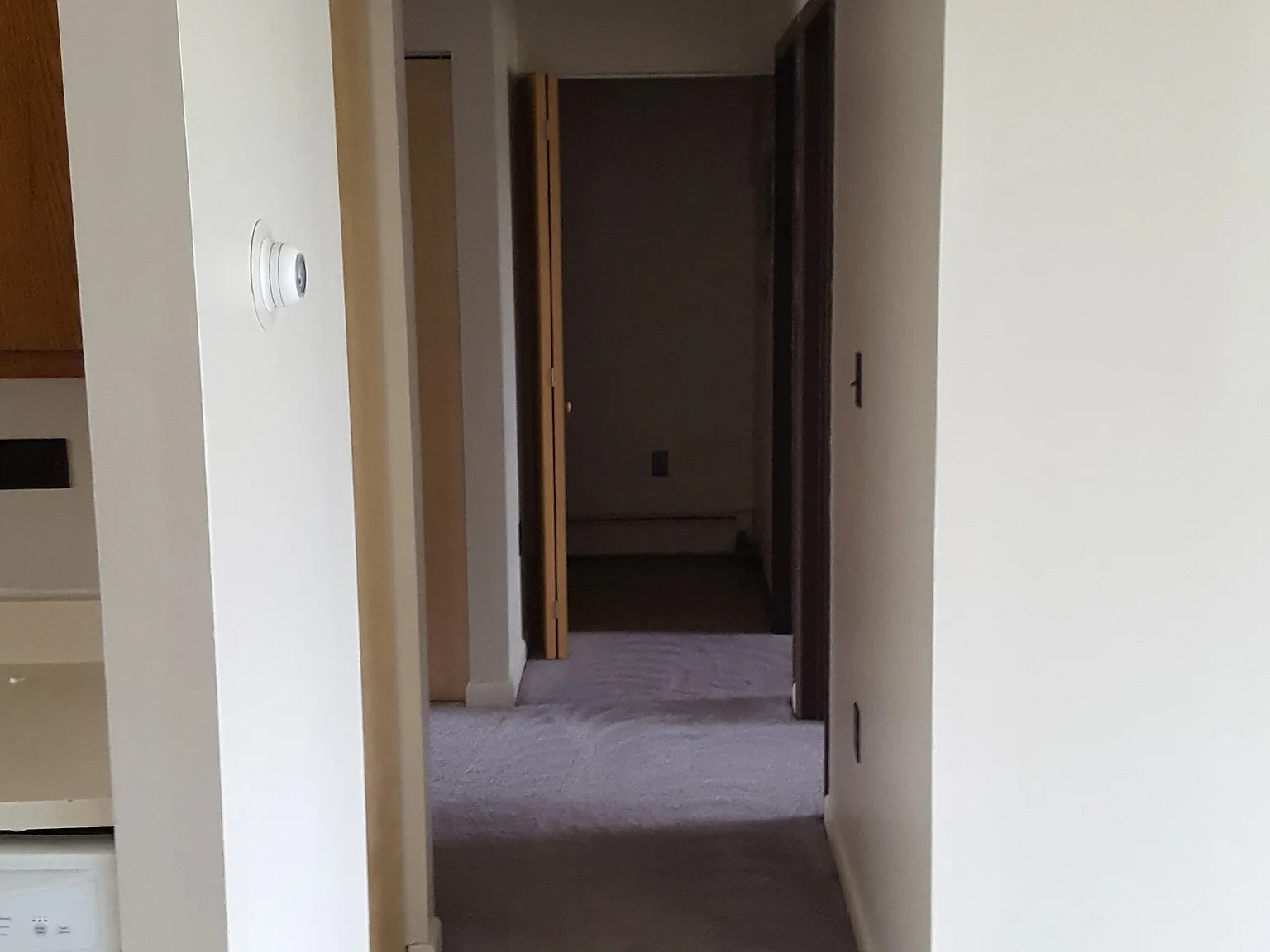 3 bed, $1,500 — Photo 4