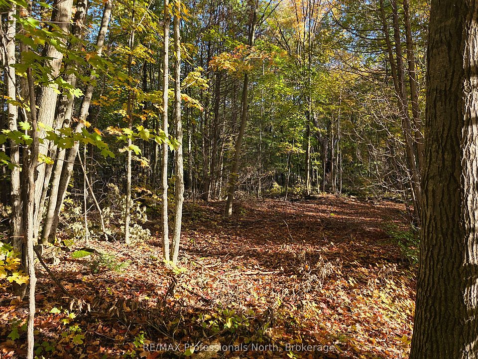 1st image of Conestoga Rd Lot 13