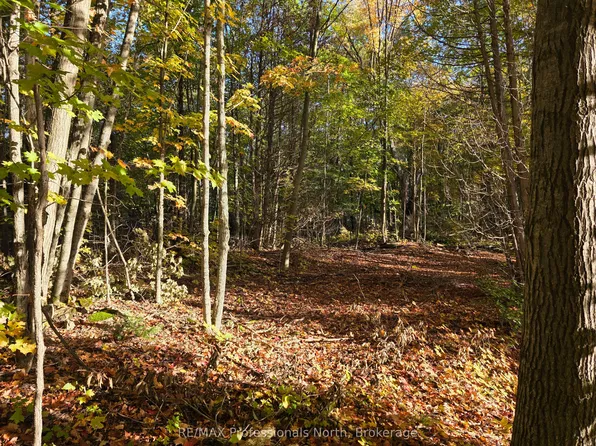 Conestoga Rd Lot 13, Minden Hills, ON K0M 2K0