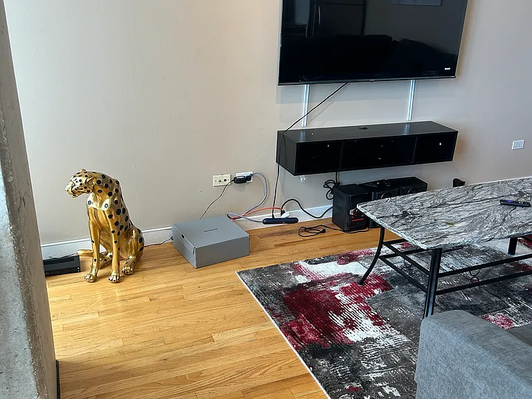 1720 S Michigan Ave #3207 — Photo 11