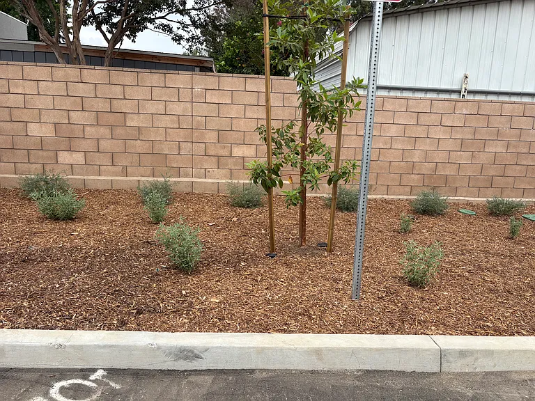 4157 Jasmine Ln — Photo 30
