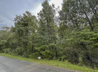 LOT 20 Maple Grove Rd, Ten Mile, TN 37880