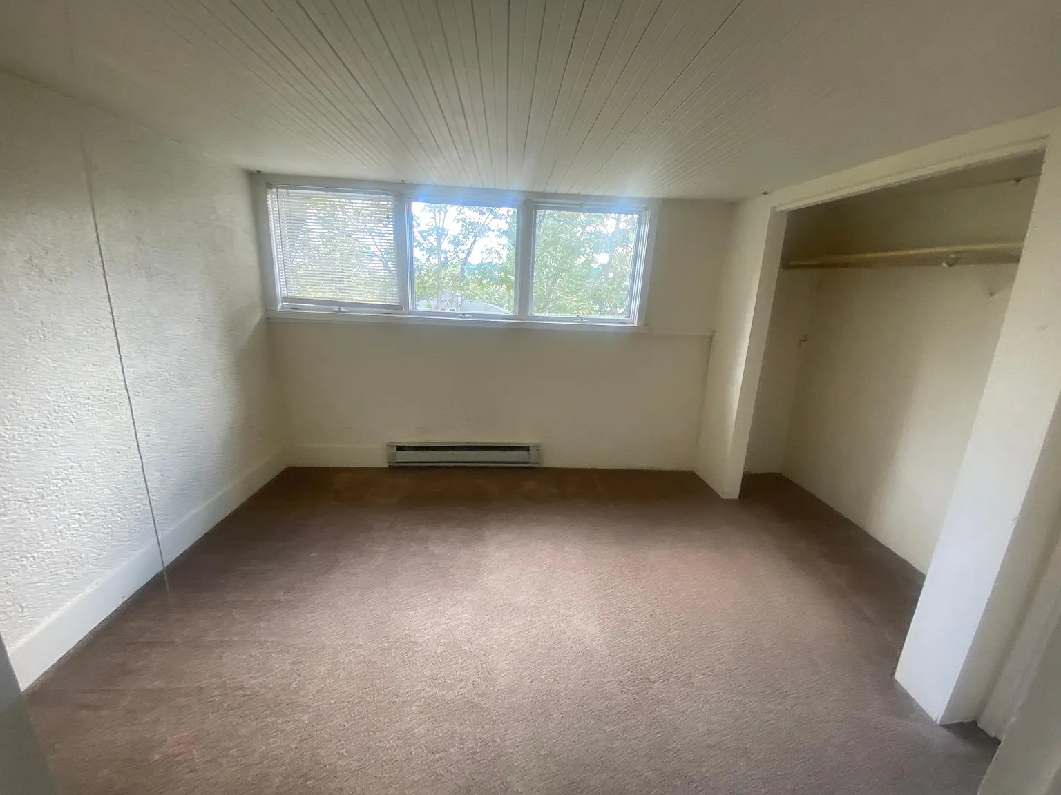 3 bed, 925 sqft, $2,600 — Photo 4