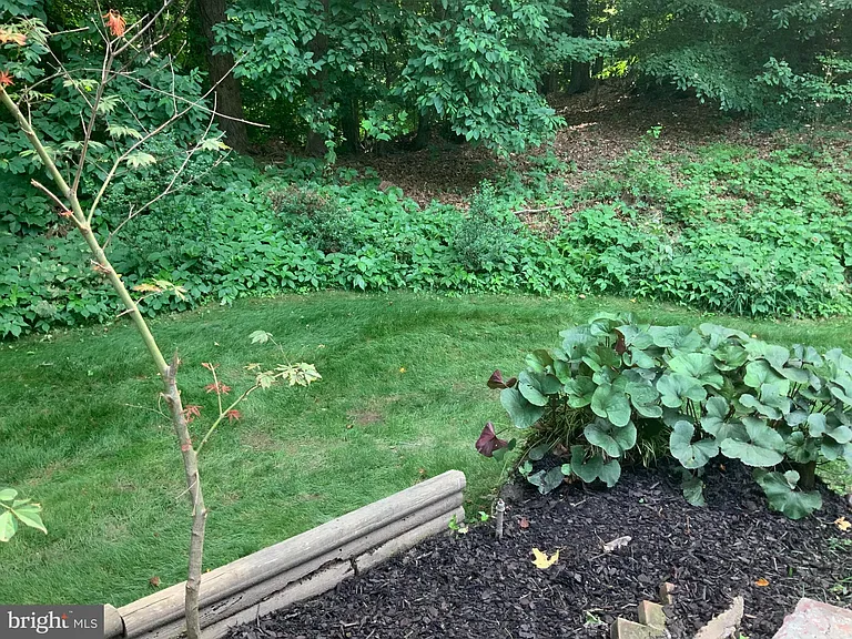 4618 Briar Patch Ct — Photo 22