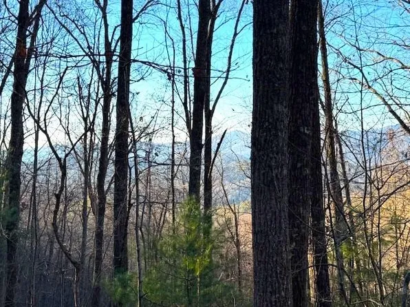 Laurel Dr, Marble, NC 28905