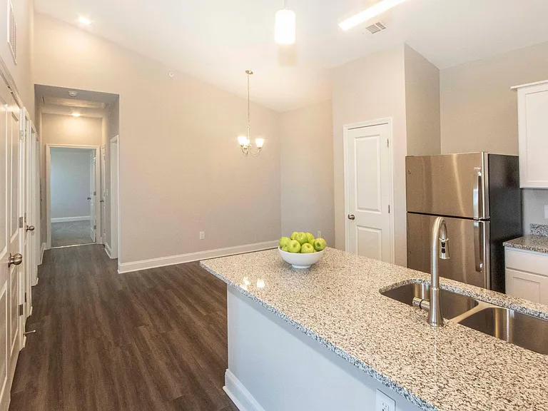 Farragut Pointe — Photo 14