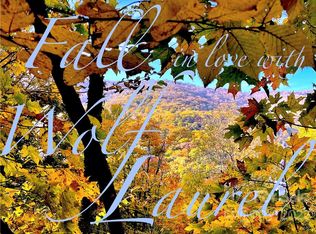 370 Mayapple Ln #370, Mars Hill, NC 28754