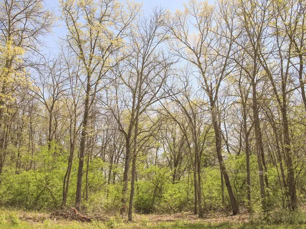 806 Echo Trl Lot 22, Marengo, IL 60152