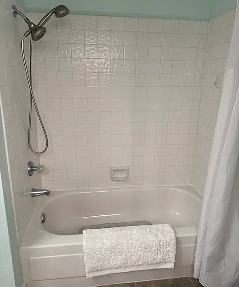 Master bath/shower