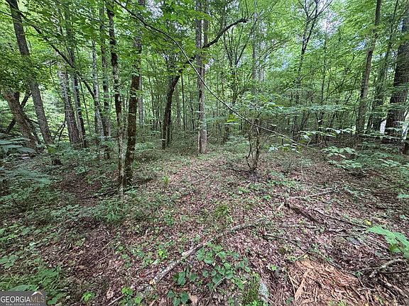 5th image of 1634 Carman Way